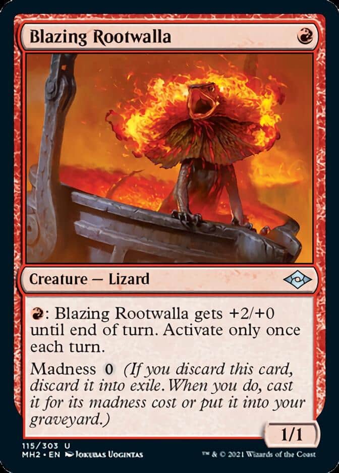 Blazing-Rootwalla-J21-672