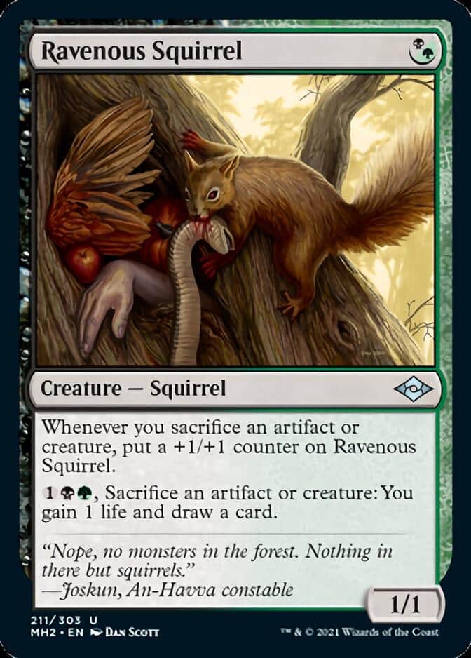 Ravenous-Squirrel-J21-672