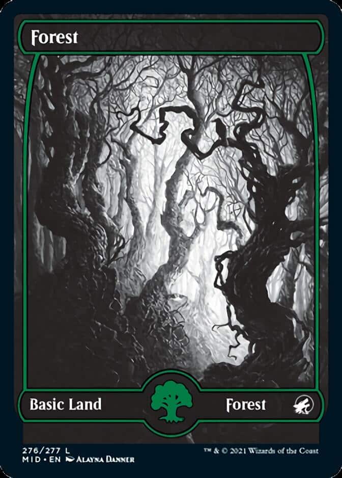Forest-276-Eternal Night