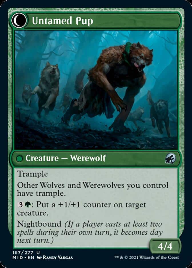 Untamed-Pup-MID
