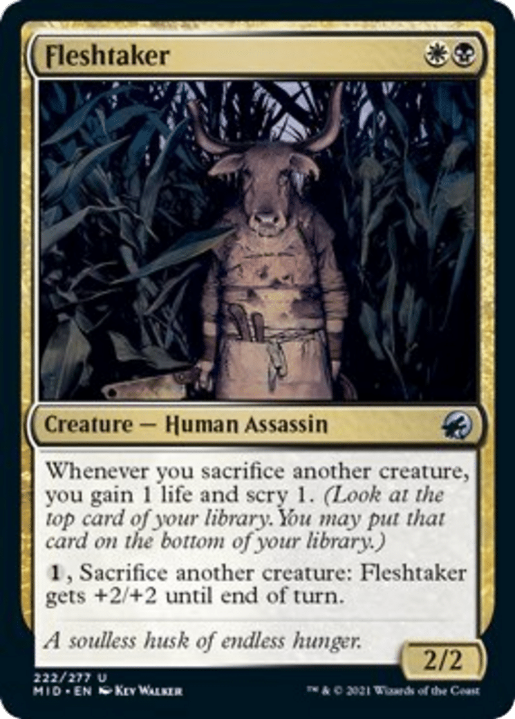 mid-222-fleshtaker