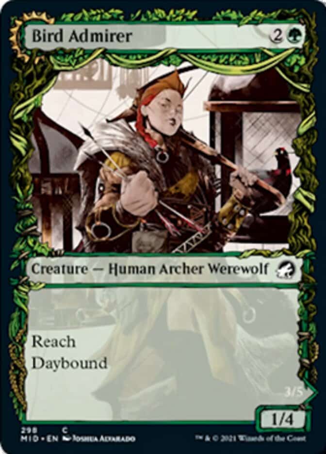 mid-298-bird-admirer