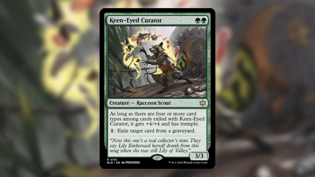 Keen-Eyed Curator
