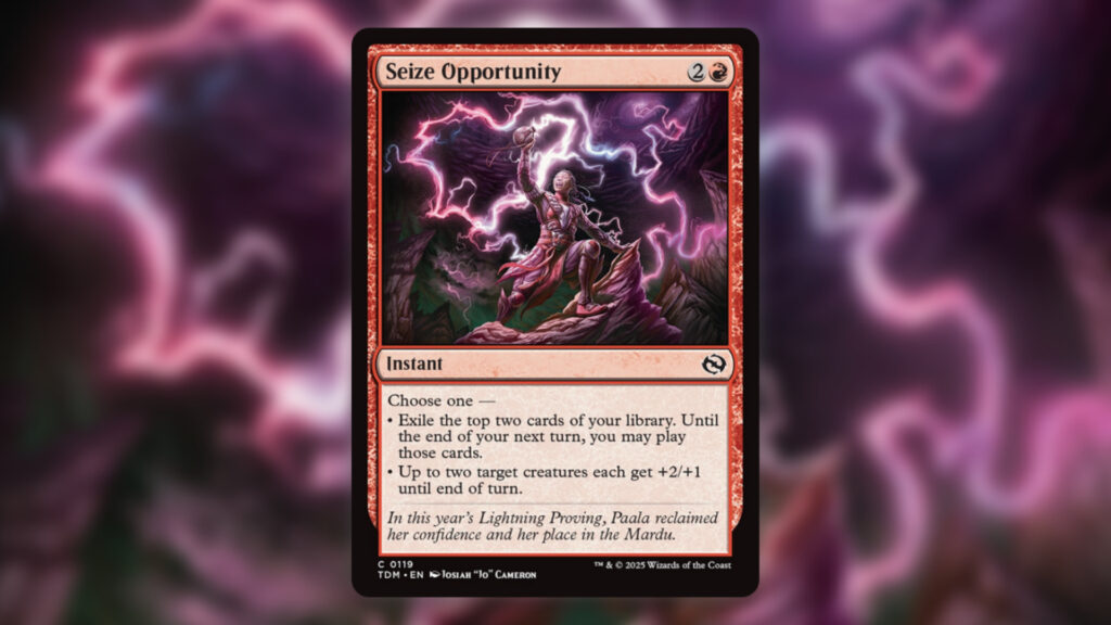 Seize Opportunity