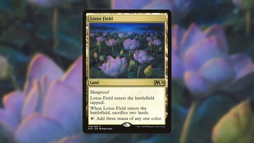 Lotus Field