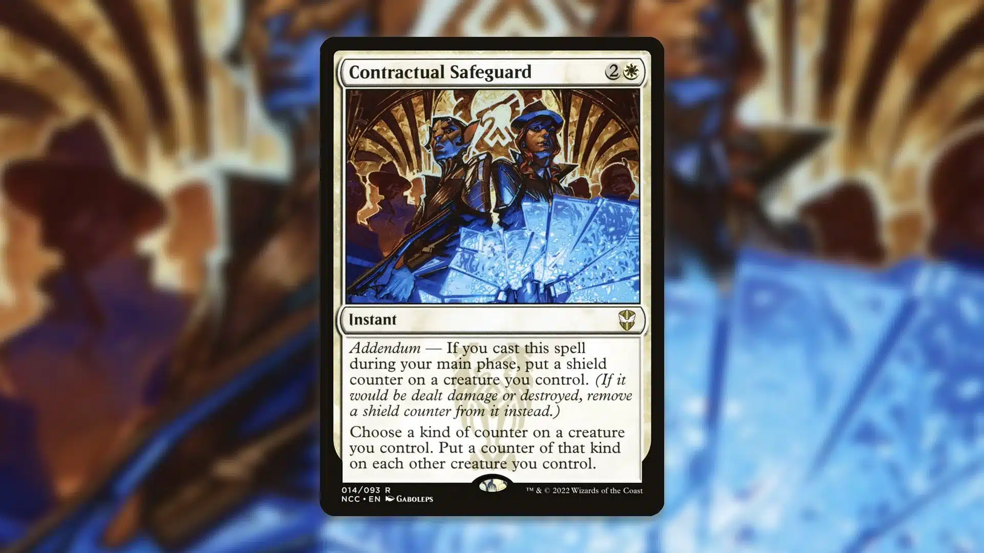 Contractual Safeguard