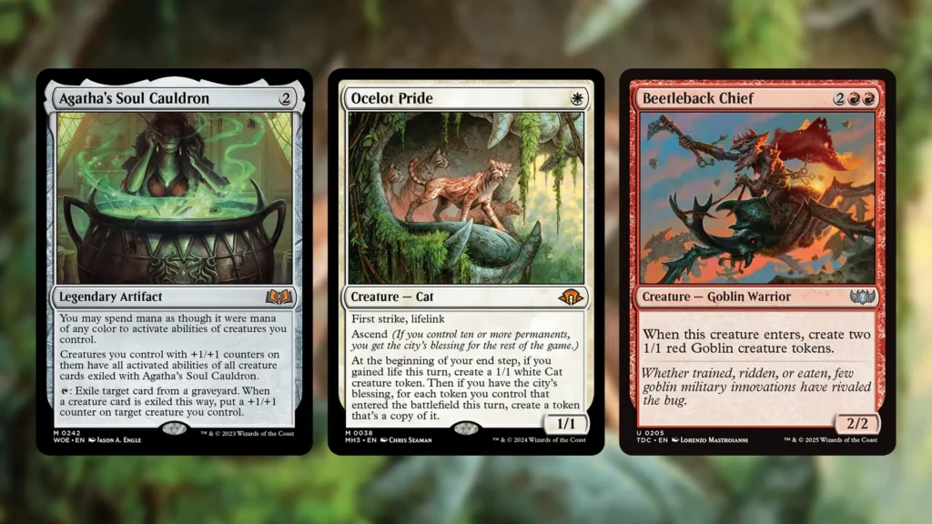 Kirol, Attentive First-Year Synergy