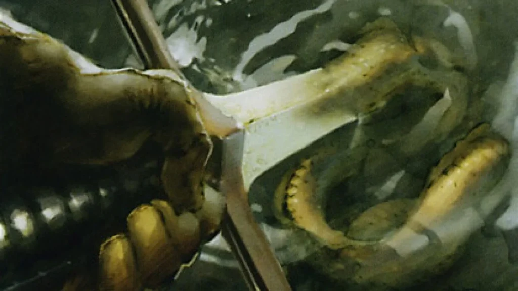 Mystic Speculation | Future Sight | Art by Trevor Hairsine