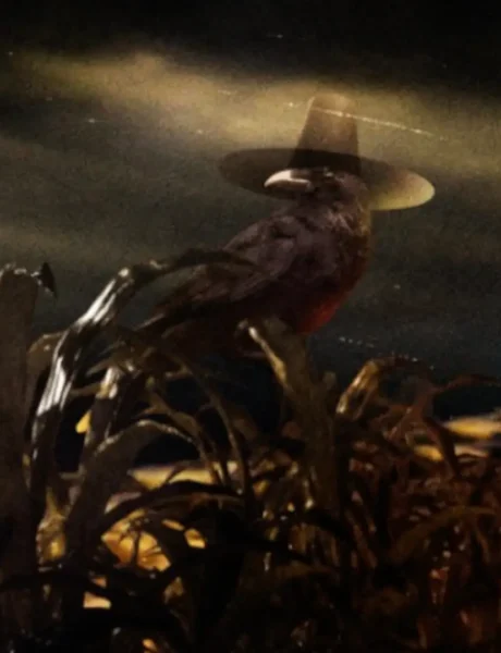 MTG Corn Maze Superdrop Bird Teaser