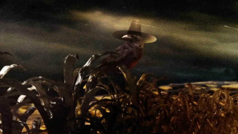 MTG Corn Maze Superdrop Bird Teaser