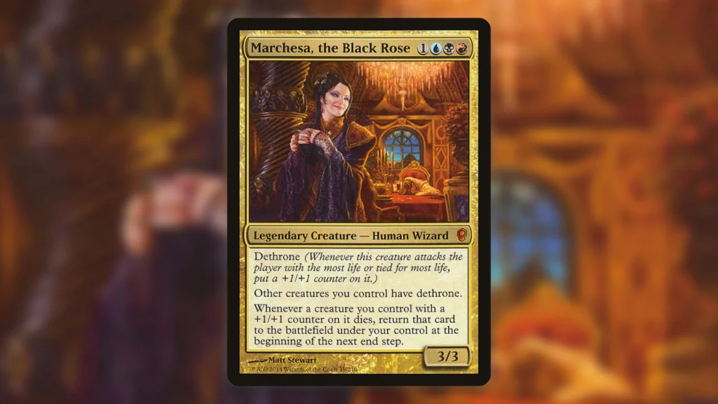 Marchesa the Black Rose